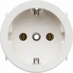 Berker EB-Steckdose pws/matt 418809