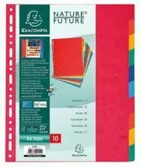 Exacompta Register XXL 2410E DIN A4 Manila-Karton 225g 10-tlg farbig